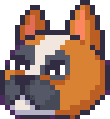 bold_boxer's profile