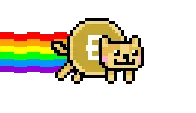 nyan